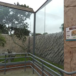 African leopard exhibit - Parque de Las Leyendas