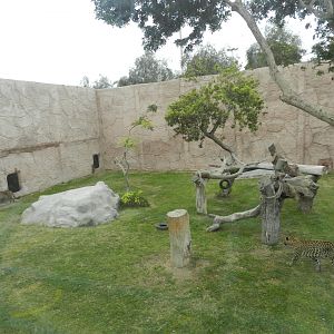 African leopard exhibit - Parque de Las Leyendas