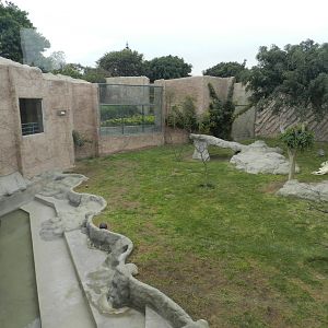 White lion exhibit - Parque de Las Leyendas