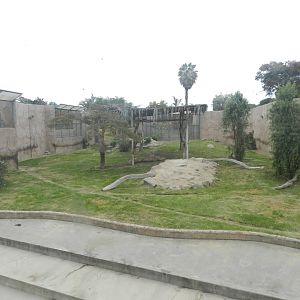 Tiger exhibit II - Parque de Las Leyendas