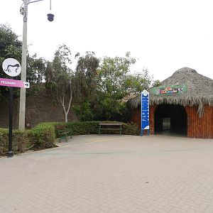 Felinario exit and shop - Parque de Las Leyendas