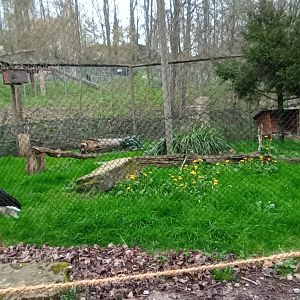 Black Stork, Northern Hawk Owl and Barn Owl Aviary