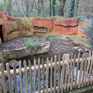 Second Swallow-bellied mangalitsa enclosure