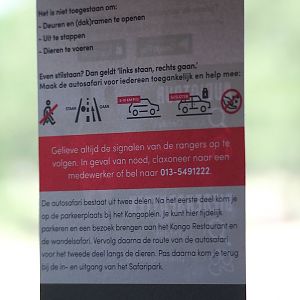 Rear-view mirror hanger with car safari rules, 2022-06-12