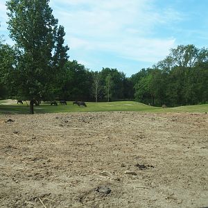 Multi-hectare savanna exhibit seen from car safari, 2022-06-12