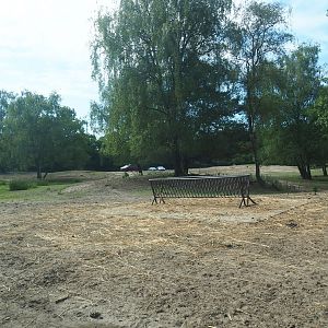 Multi-hectare savanna exhibit seen from car safari, 2022-06-12