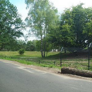 African wild dog exhibit seen from the car safari, 2022-06-12