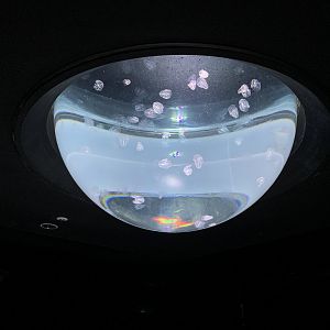 Jellyfish Display