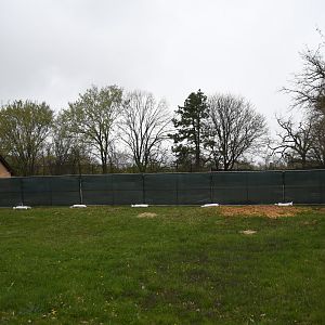 Green barn is no more - Hoofed Animals