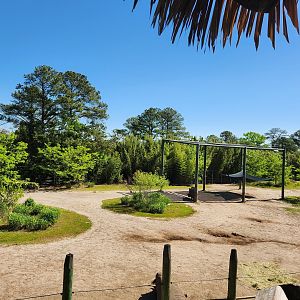 Virginia Zoo - Rhino exhibit (Okavango Delta)