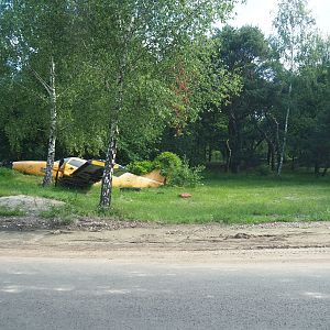 South African cheetah drive-through exhibit (With crashed plane), 2022-06-12