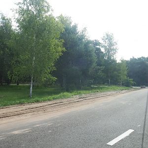 South African cheetah drive-through exhibit, 2022-06-12
