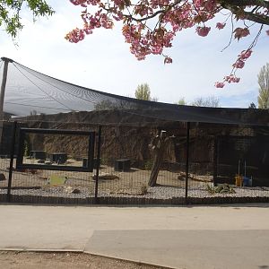 New Penguin Enclosure