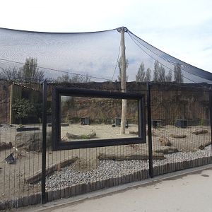 New Penguin Enclosure