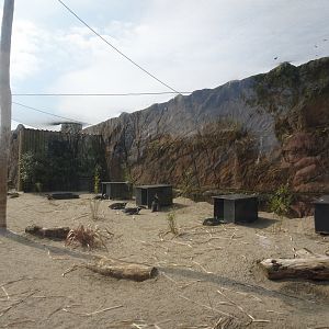 New Penguin Enclosure