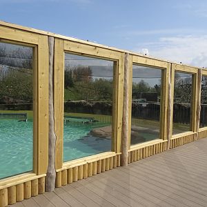 New Penguin Enclosure