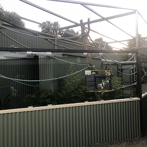 Emperor Tamarin enclosure
