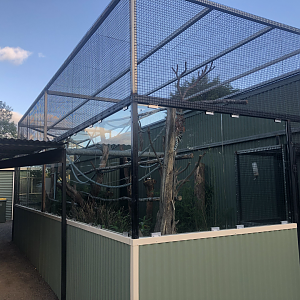 Emperor Tamarin enclosure