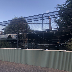Red-Handed Tamarin enclosure