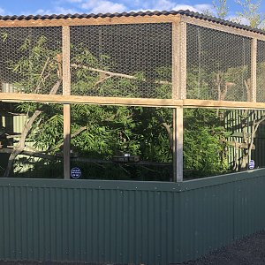 Pygmy Marmoset enclosure