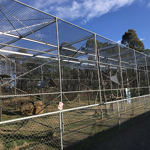 1st White-Cheeked Gibbon enclosure