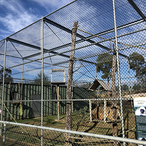 1st White-Cheeked Gibbon enclosure-Left hand side
