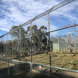 Sumatran tiger enclosure