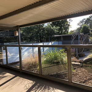 Meerkat enclosures-As viewed from the zoo cafe