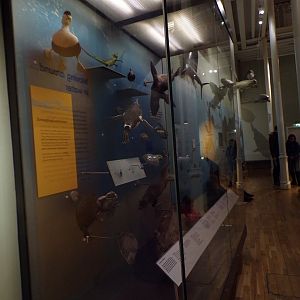 View of flying animal exhibit 30.12.22