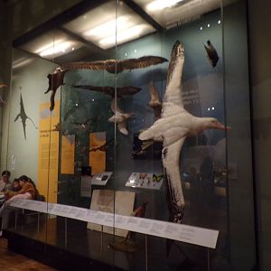 View of flying animal exhibit 30.12.22