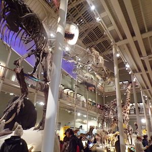 View of animal hall 30.12.22