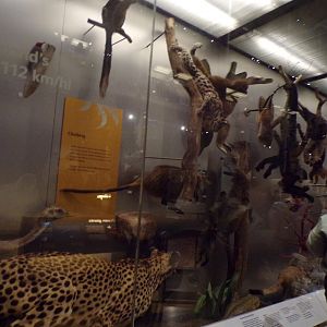 View of animal exhibit 30.12.22