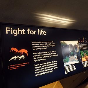 View of signage 30.12.22