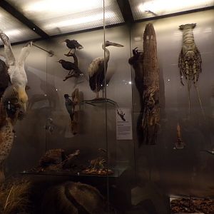 View of animal exhibit 30.12.22