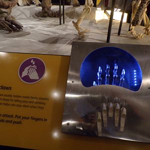 View of interactive signage 30.12.22