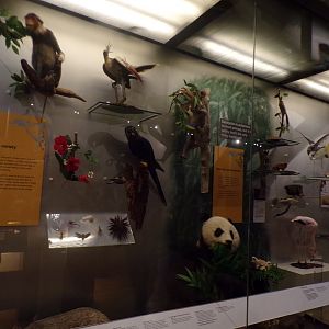 View of animal exhibit 30.12.22