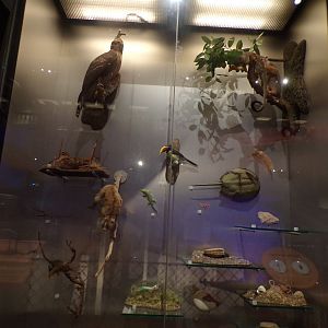 View of animal exhibit 30.12.22