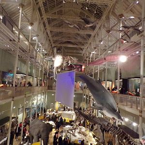 View of animal hall 30.12.22