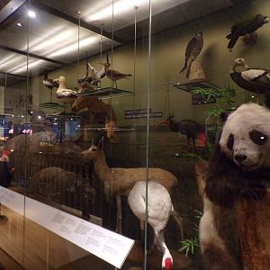 View of endangered animal exhibit 30.12.22