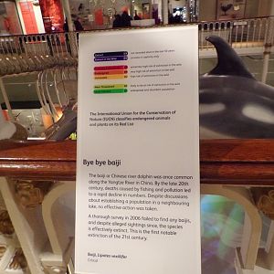 Baiji signage 30.12.22