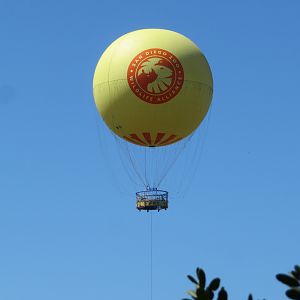 Hot Air Balloon