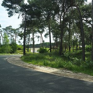 Safari car road heading towards the giraffe plains, 2022-06-12