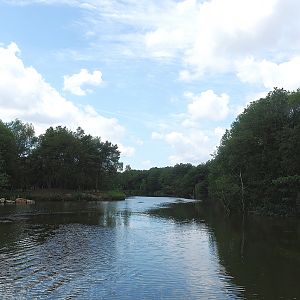 Safari boat canal, 2022-06-12