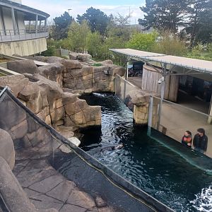 View of sea otter pools