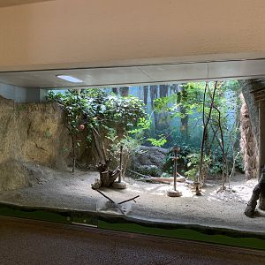 Japanese Bird Exhibit