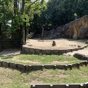 Deer and Serow Exhibit