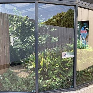 Lidth’s Jay Exhibit