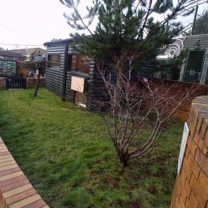 African spurred tortoise enclosure 1.1.23