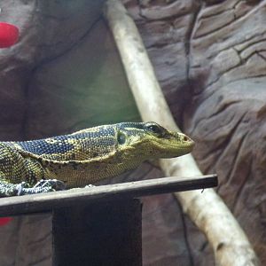 Common water monitor 1.1.23