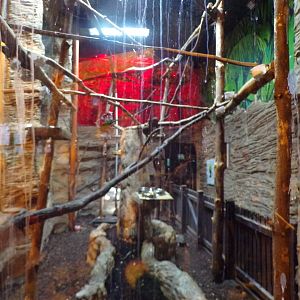 Mixed species exhibit- formerly walkthrough 1.1.23